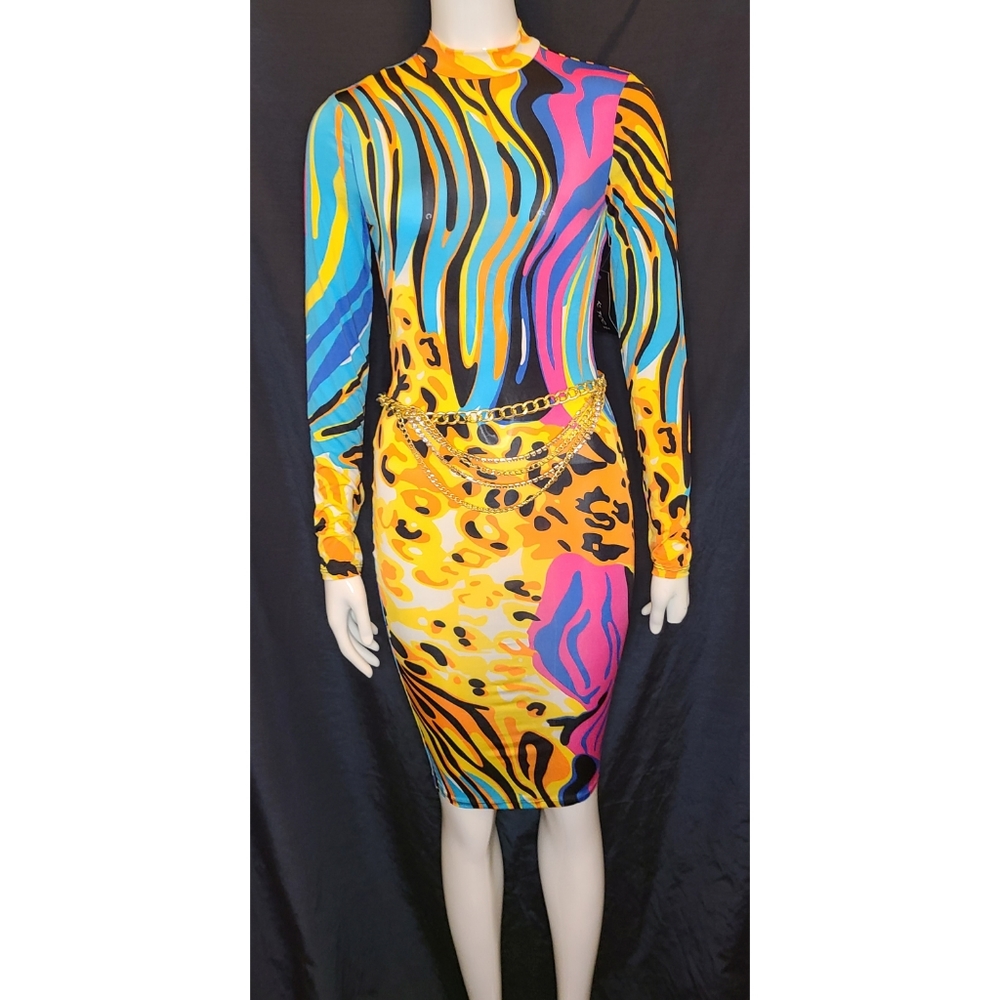 Multicolor Bodycon Dress